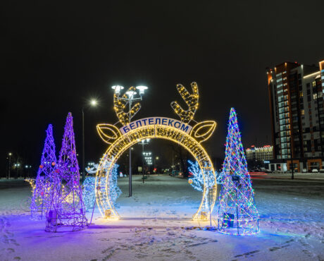 Арка «Новогодний олененок»